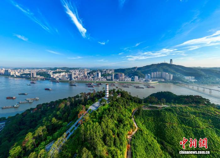 航拍西江航运干线广西梧州段：船只往来穿梭货运忙