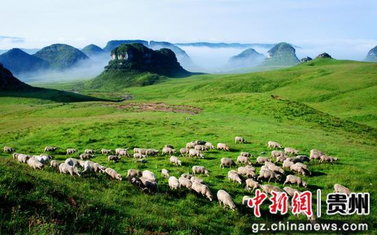 图为毕节市赫章县阿西里西大草原。杨元德 摄 图为毕节市赫章县阿西里西大草原。杨元德 摄