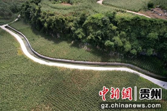 撒拉溪镇水浸沟村高标准农田建设项目 邱梦如 摄