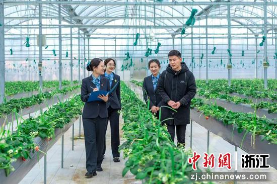 农行嘉兴分行主动上门调研。农行嘉兴分行 供图 农行嘉兴分行主动上门调研。农行嘉兴分行 供图