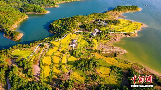 9月2日，地处乌蒙山深处的贵州省黔西市锦星镇洪湖村，田野里金黄的稻谷丰收在即，与民居、青山相互映衬，呈现出一幅美丽的丰收画卷。史开心 摄