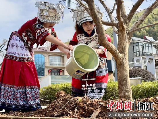 栽种共富树。煤山镇供图 栽种共富树。煤山镇供图