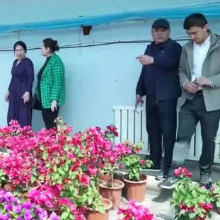 【与你为邻】让新疆苗木扎根中亚