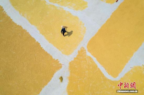 9月3日，从江县贯洞镇腊阳村村民在鼓楼坪晾晒稻谷。(无人机图片)梁辉波 摄