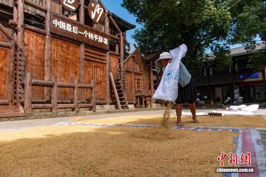 9月3日，贵州省黔东南苗族侗族自治州从江县，村民抓住晴好天气晾晒收获的稻谷。图为从江县丙妹镇岜沙苗寨的村民在晾晒稻谷。吴德军 摄