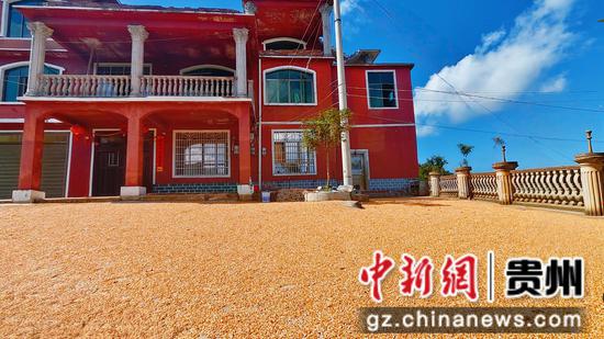 三都九阡镇石板村玉米迎来丰收