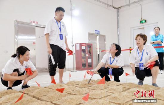 图为白酒制曲赛项中，裁判认真评分。胡大方 摄