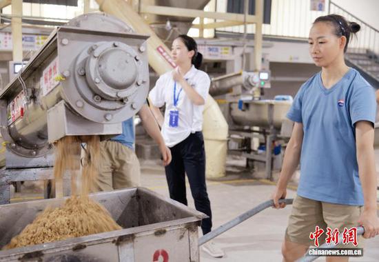 图为工作人员准备比赛曲料。胡大方 摄