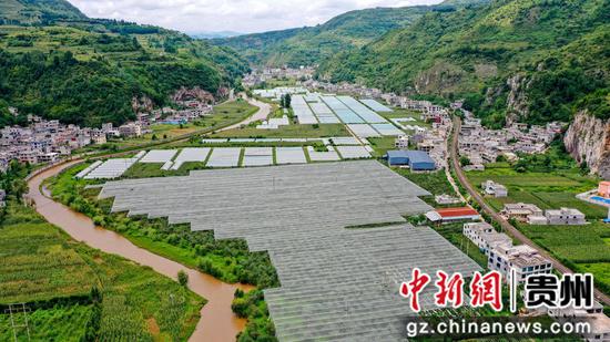 位于猴场镇格寨村的威宁县乌蒙绿色产业有限责任公司苹果种植基地一角