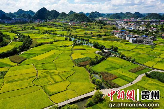 图为安顺市西秀区鲍家屯古水利设施及稻田。潘希来 摄 图为安顺市西秀区鲍家屯古水利设施及稻田。潘希来 摄