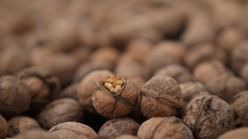 大量核桃怎么清洗 XQvz-hevacsa2769646.jpg