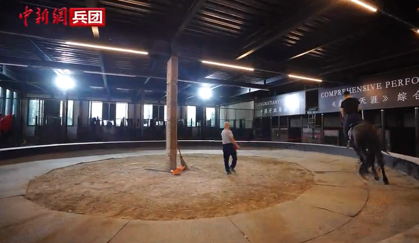 【与你为邻】吉国马戏表演技师：这里的人和马都是我的家人