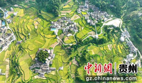 台盘乡屯秋寨金秋图 张奎摄