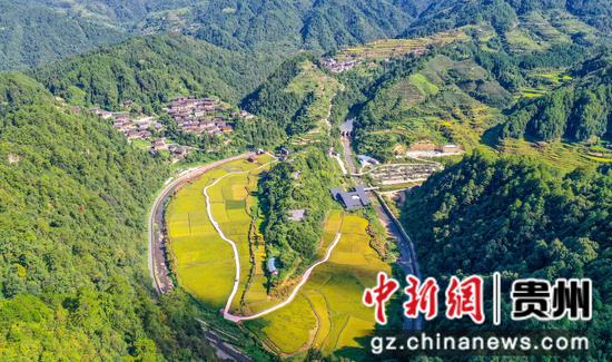 排羊乡富强村150亩稻田大坝。张奎摄