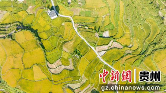 长滩村金秋大坝。 张奎摄