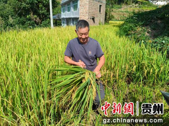 农户手持稻穗，满脸喜悦，丰收的幸福溢于言表。王烨 摄