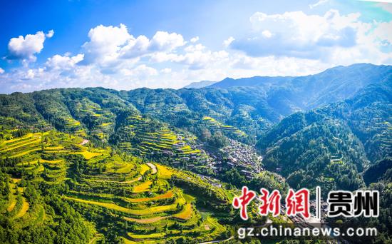 台江金红阳。 曾皎飞摄