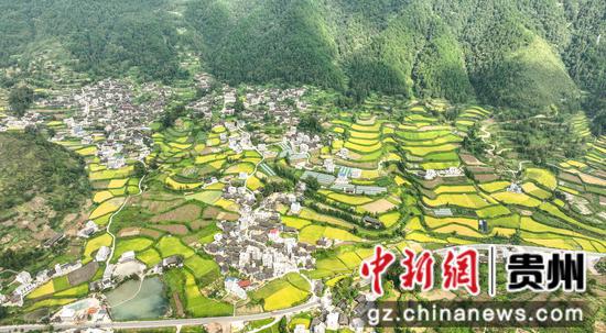 革一镇田坝村金秋全景图。 张奎摄