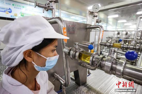9月11日，工人在龙里县一家刺梨加工企业车间查看刺梨原液过滤情况。