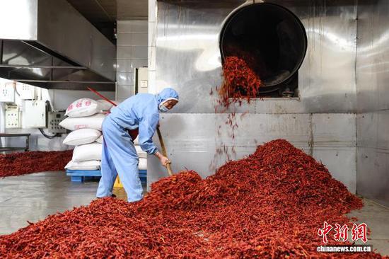 9月11日，工人在龙里县一家辣椒加工企业车间炒制辣椒。