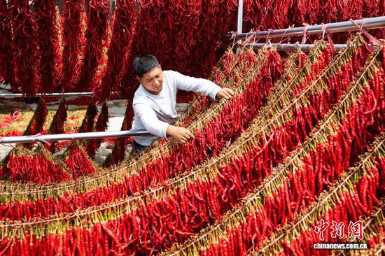 图为9月11日,在贵州省毕节市大方县马场镇马场社区,村民正在晾晒辣椒。何志刚 摄 图为9月11日,在贵州省毕节市大方县马场镇马场社区,村民正在晾晒辣椒。何志刚 摄