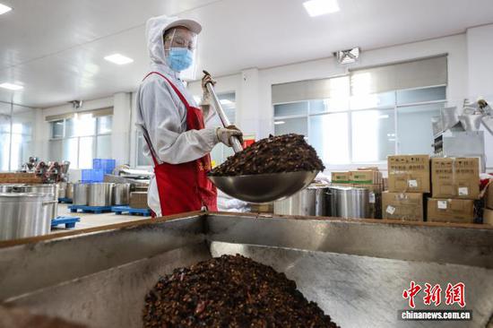 9月11日，工人在龙里县一家辣椒加工企业车间生产辣椒产品。