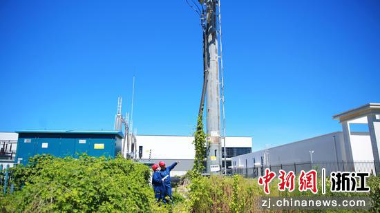 上虞电网工作人员巡检现场。上虞电网&nbsp;供图