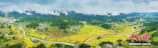 图为9月13日，航拍务川黄都镇东山大坝秋景全景。(无人机照片)唐哲 摄