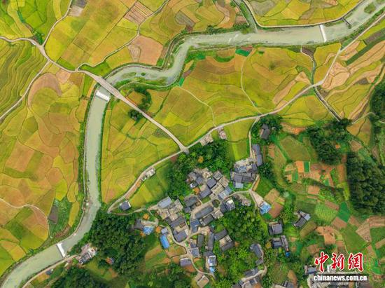 图为9月13日，航拍务川黄都镇东山大坝秋景。(无人机照片)唐哲 摄
