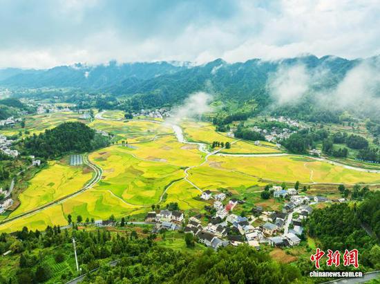 图为9月13日，航拍务川黄都镇东山大坝秋景。(无人机照片)唐哲 摄