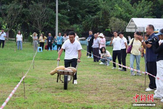 9月12日,“南瓜竞速”比赛。潘娅 摄 9月12日,“南瓜竞速”比赛。潘娅 摄