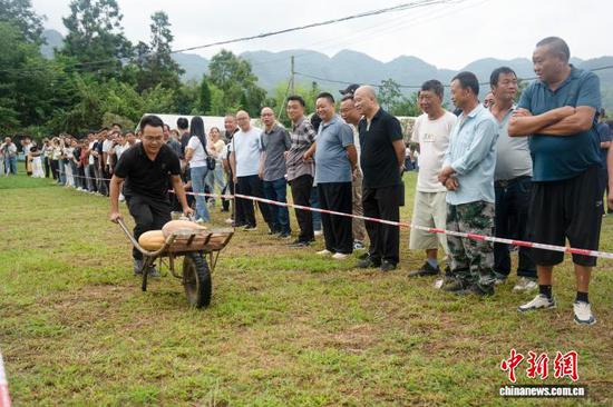 9月12日,“南瓜竞速”比赛。李前勇 摄 9月12日,“南瓜竞速”比赛。李前勇 摄