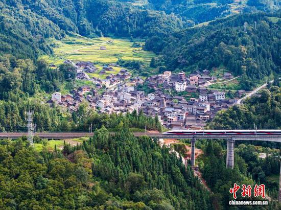 图为一列动车组列车从贵州省从江县往洞镇朝利侗寨旁疾驰而过。（无人机照片）吴德军 摄