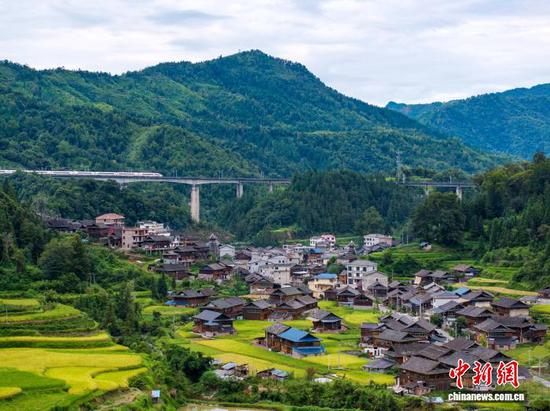 图为一列动车组列车从贵州省从江县往洞镇朝利侗寨旁疾驰而过。（无人机照片）吴德军 摄