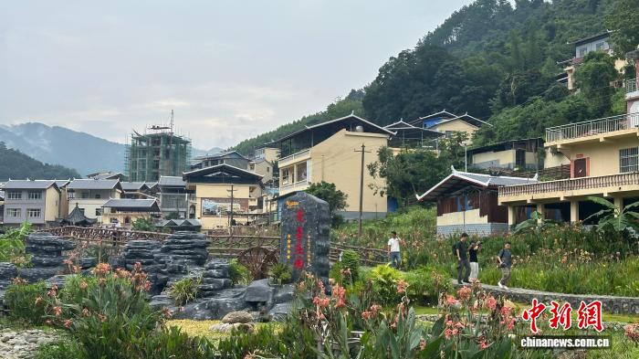 广西田林乡村的生态“致富经”