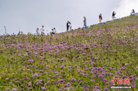 图为游客在贵州省毕节市赫章县韭菜坪景区旅游观景。