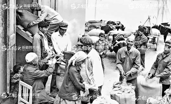 1980年秋，岳普湖县阿其克公社农民首次向国家上交商品粮。 图片来源：石榴云/新疆日报
