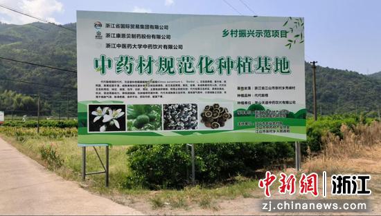 浙江省国贸集团与浙金信托协同打造“善行国贸 慈善信托”,建立120亩中药材规范化种植基地。浙金信托供图 浙江省国贸集团与浙金信托协同打造“善行国贸 慈善信托”,建立120亩中药材规范化种植基地。浙金信托供图