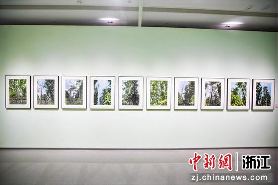 近日,展览现场。(主办方供图) 近日,展览现场。(主办方供图)