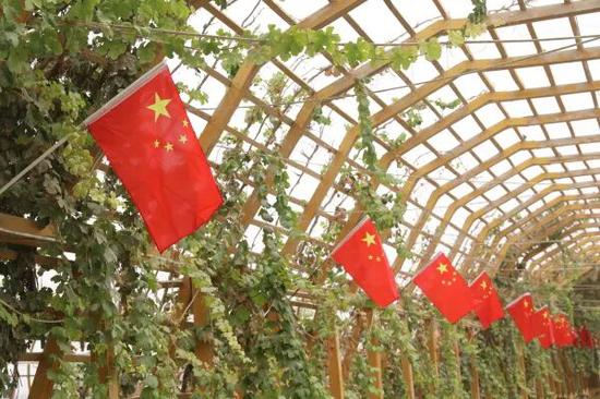 在墨玉县雅瓦乡巷道上,鲜艳的国旗成为了乡村最靓丽的风景线。5