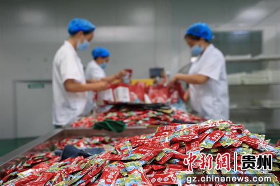 杨梅加工成品 杨梅加工成品