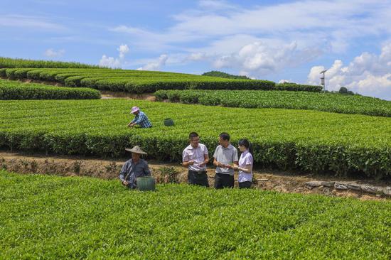 浙江温州泰顺：农行温州分行绘就“富春山居