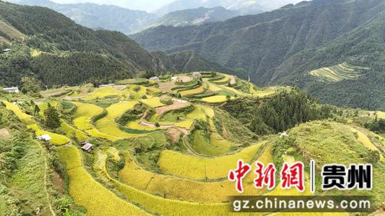 敏洞乡平鸟爱心梯田