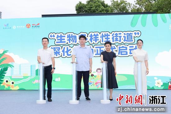 活动现场。钟公庙街道 供图 活动现场。钟公庙街道 供图