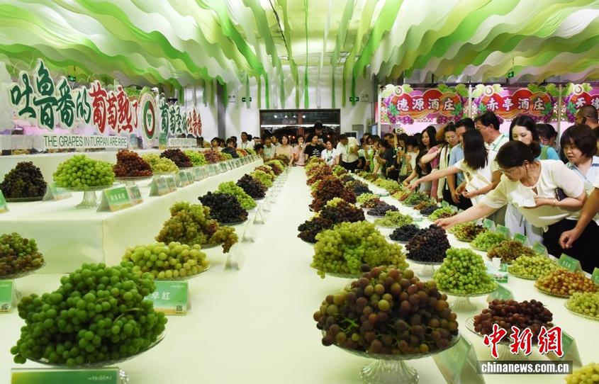 【这个城市有点潮】新疆吐鲁番：“萄”气值拉满 极致温差下的“甜蜜热恋”