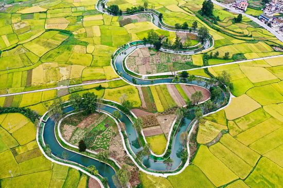 惠水县摆金镇清水苑村金黄的稻田与整治后的坝王河融为一体,美不胜收。潘希来 摄 惠水县摆金镇清水苑村金黄的稻田与整治后的坝王河融为一体,美不胜收。潘希来 摄