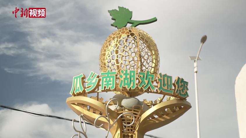 立体种植哈密瓜 实现365天“吃瓜自由”