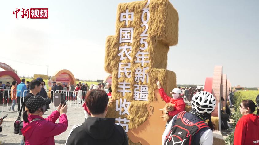 新疆农业种植户：上千亩地只需二三人管理 变化太大了