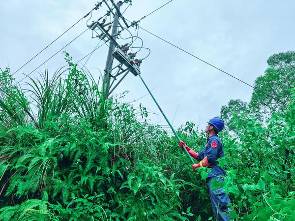9月25日,玉林陆川供电局抢修人员联合河池供电局支援队伍,协同处理10千伏新村线断杆故障。揭金旺 摄 9月25日,玉林陆川供电局抢修人员联合河池供电局支援队伍,协同处理10千伏新村线断杆故障。揭金旺 摄