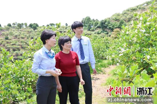 农行工作人员走访调研“农文旅”产业。 农行温州分行 供图